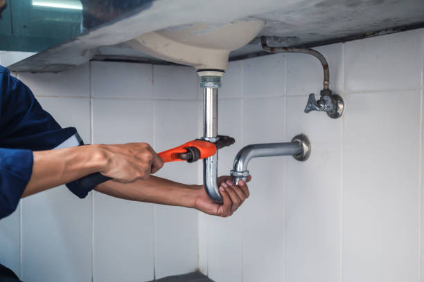 Best Plumbing Inspection Services  in Alliance, NE
